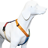 Haqihana Harness - Multicolor